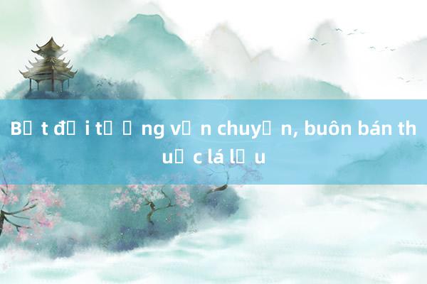 Bắt đối tượng vận chuyển， buôn bán thuốc lá lậu