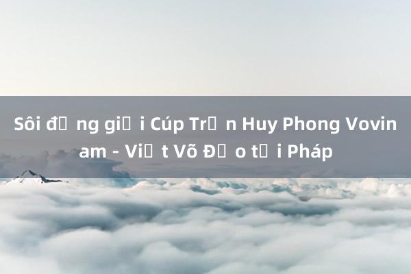 Sôi động giải Cúp Trần Huy Phong Vovinam - Việt Võ Đạo tại Pháp