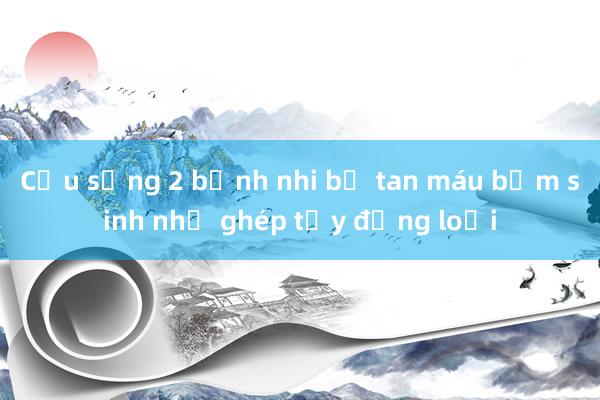 Cứu sống 2 bệnh nhi bị tan máu bẩm sinh nhờ ghép tủy đồng loại