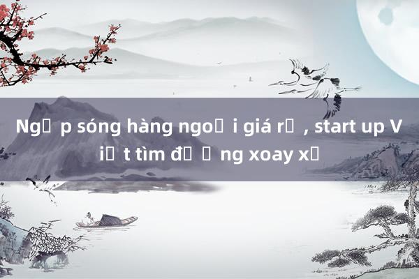 Ngợp sóng hàng ngoại giá rẻ， start up Việt tìm đường xoay xở