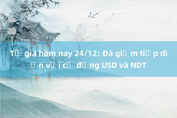 Tỷ giá hôm nay 24/12: Đà giảm tiếp diễn với cả đồng USD và NDT