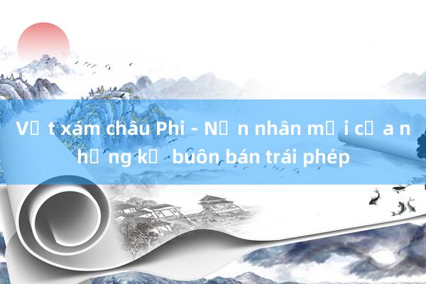 Vẹt xám châu Phi - Nạn nhân mới của những kẻ buôn bán trái phép